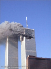 IM000310.jpg