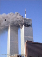 IM000318.jpg