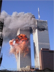 IM000322.jpg