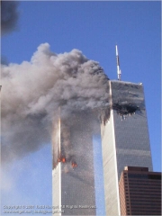 IM000328.jpg